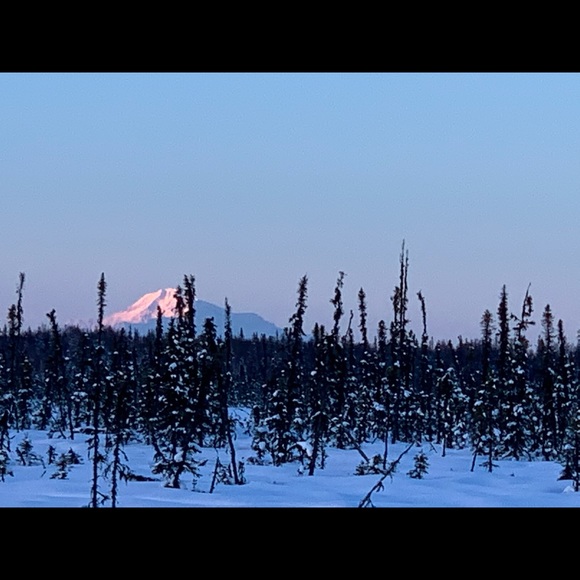 Not for sale - Picture 15 of 15